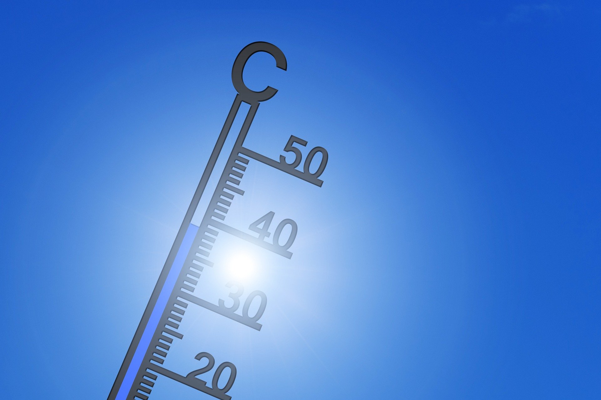 Calor