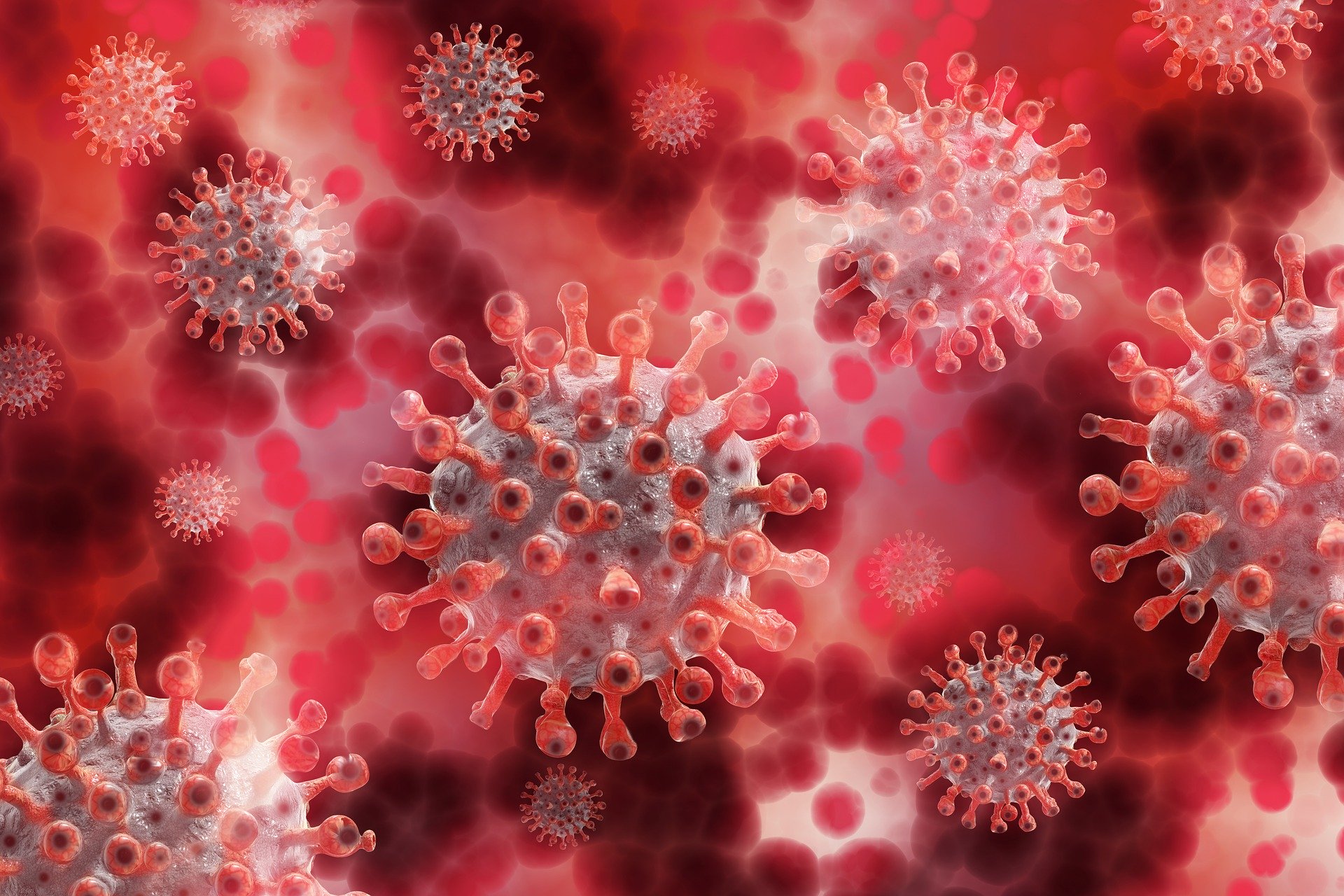 A situação epidemiológica