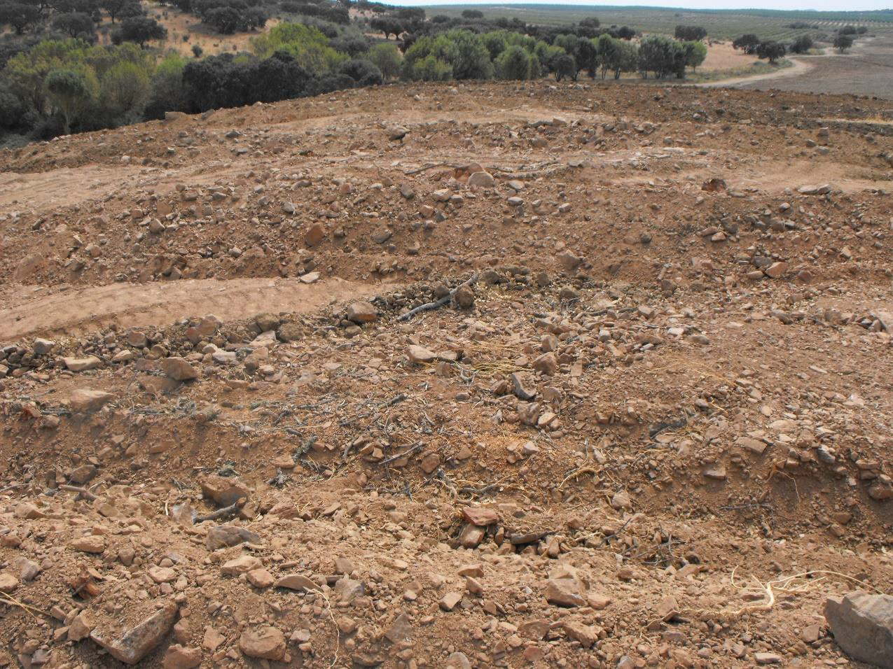 Siteio Arqueológico destruido