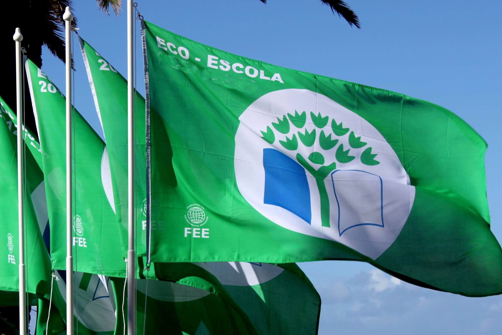 Eco-escolas