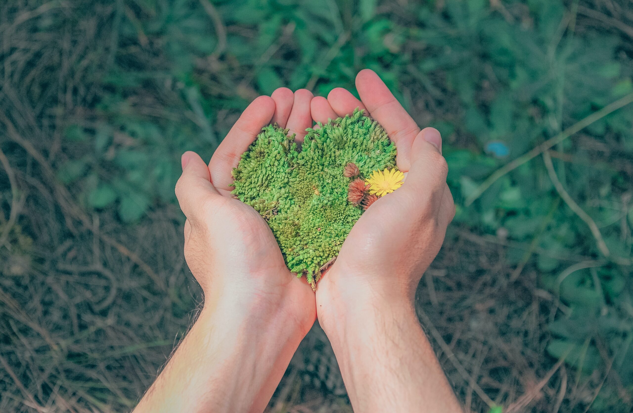 Biodiversidade
