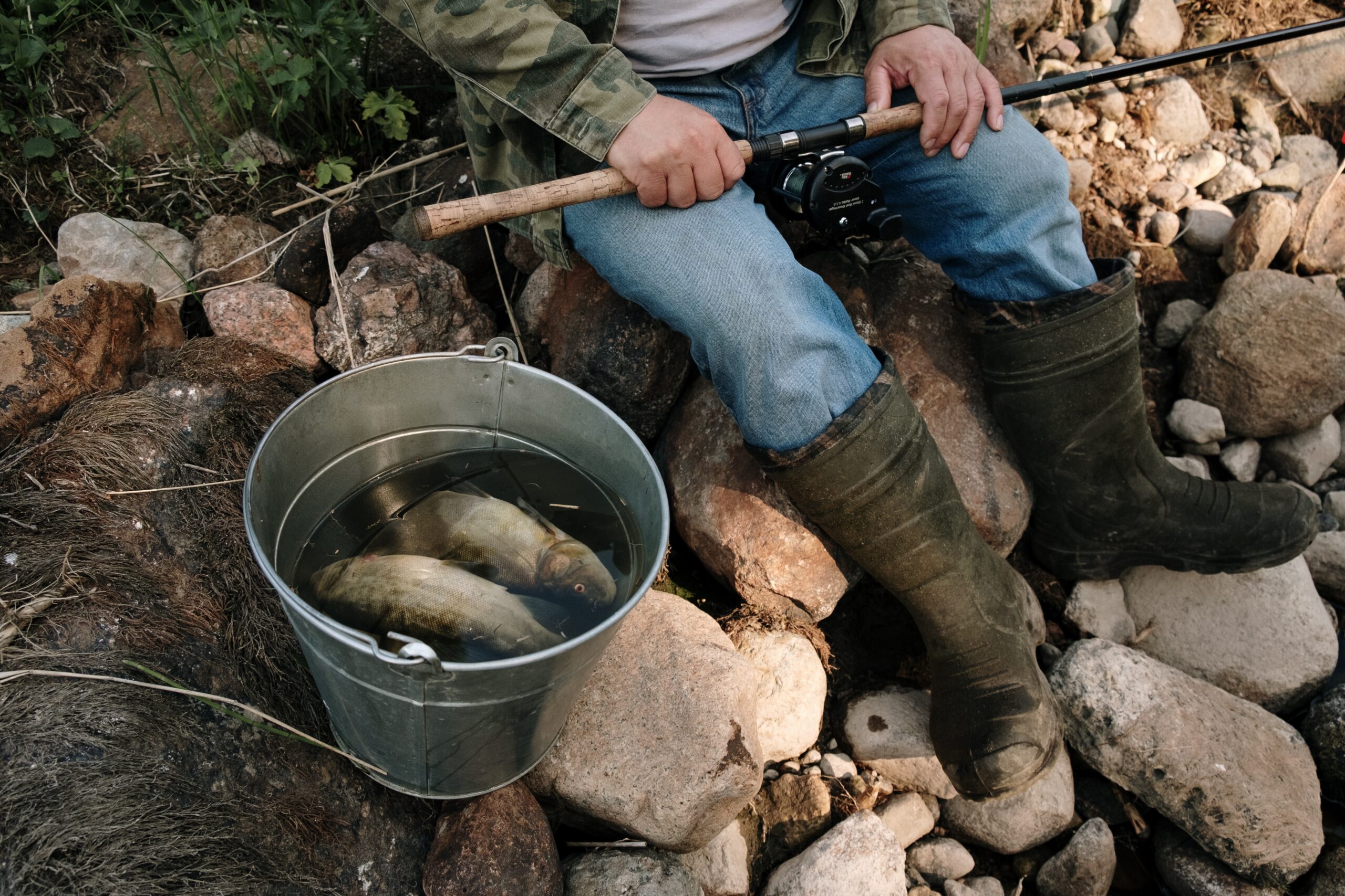 Pesca Lúdica