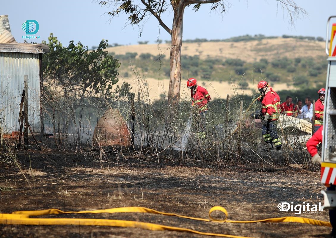 Incêndio em Pardais
