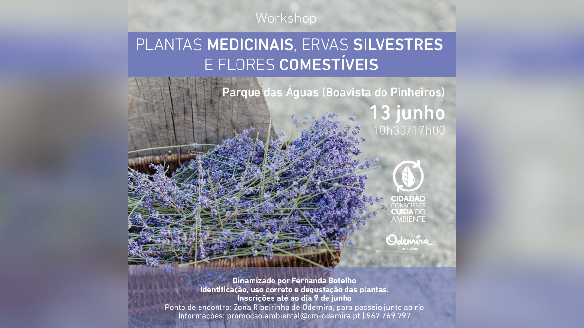 Plantas medicinais