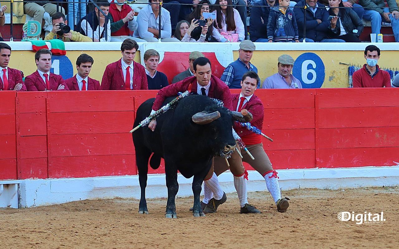 Forcados de Montemor