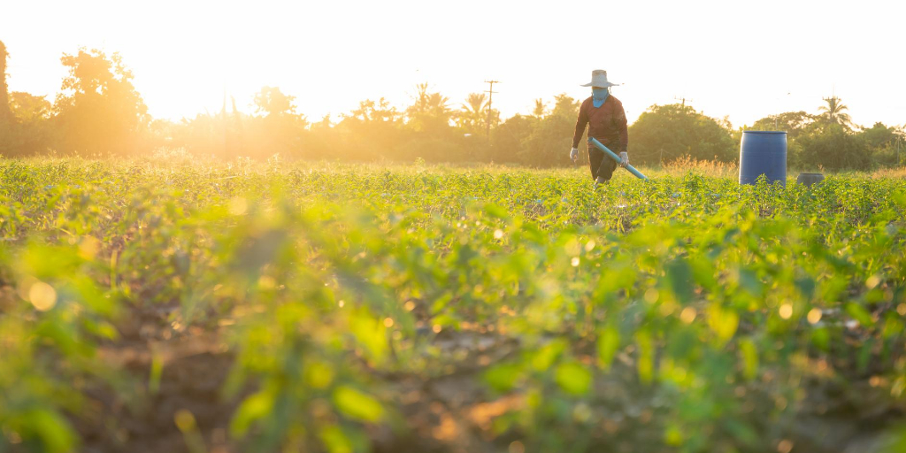 Migrantes que trabalham na agricultura correm mais riscos de tráfico humano em Portugal trabalhadores