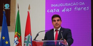 Luís Rosinha