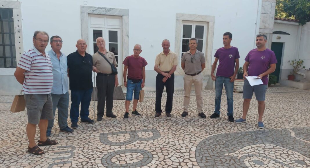 solidariedade borba