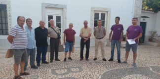 solidariedade borba