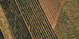 agricultura
