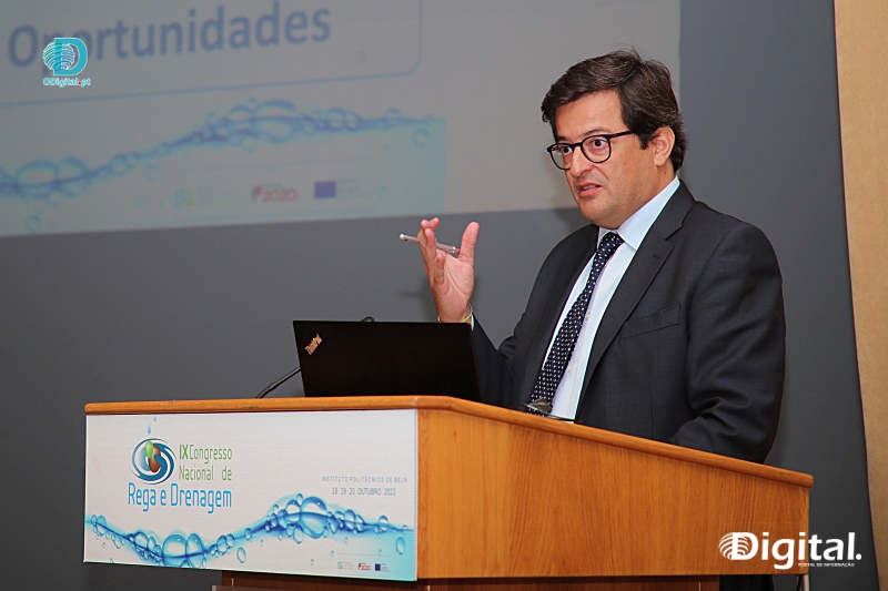 rui marreiros