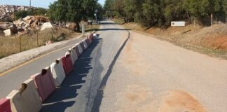 estrada de pardais