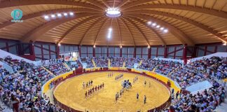 Coliseu de Redondo