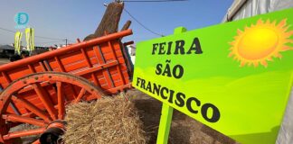 Feira de são francisco