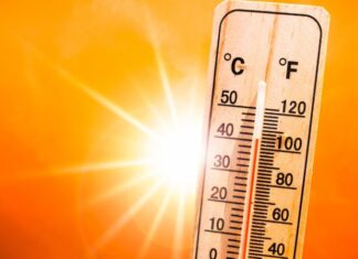 Catorze distritos sob aviso amarelo devido ao tempo quente Calor