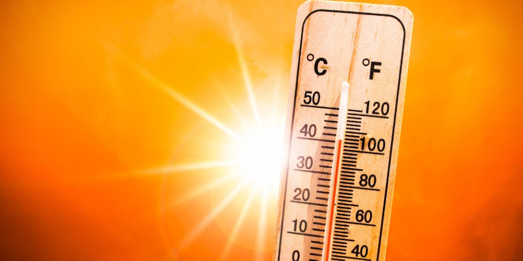 Calor