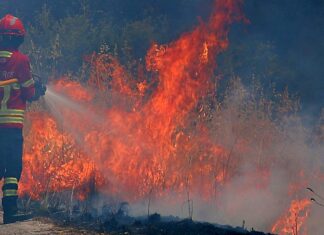 Alandroal: Incêndio perto de Rosário mobiliza meios aéreos e mais de meia centena de operacionais Incendio
