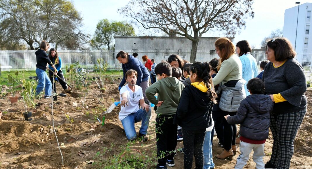 Alunos de escola de Évora plantam floresta no recinto escolar