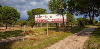Alentejo volta a liderar turismo nacional e supera crescimento do resto do país Turismo no Alentejo