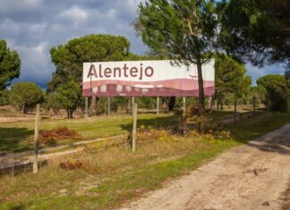 Alentejo volta a liderar turismo nacional e supera crescimento do resto do país Turismo no Alentejo
