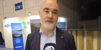 Nuno Silva Avis