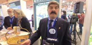 Fernando Pinto, Juiz da Régia Confraria de Nossa Senhora da Conceição