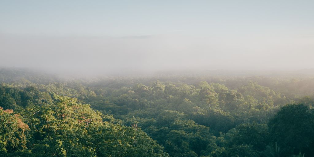Natureza