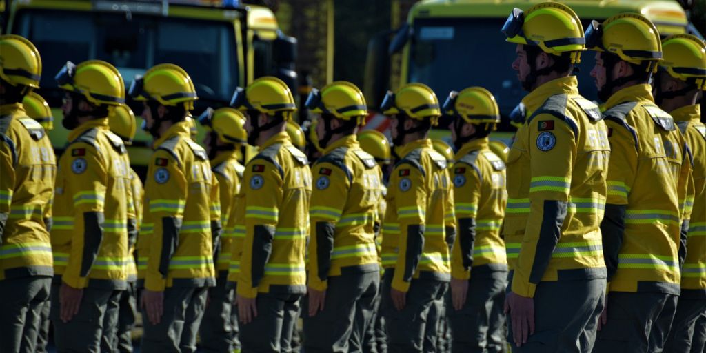 ICNF abre concurso para 88 postos de trabalho na Força de Sapadores Bombeiros Florestais