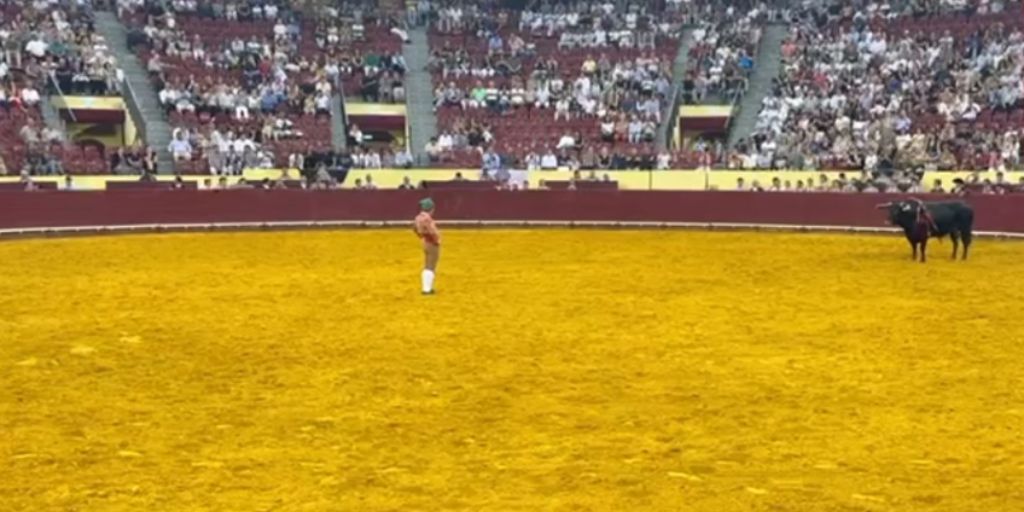 Tauromaquia: Última pega do jovem forcado Manuel Trindade no Campo Pequeno