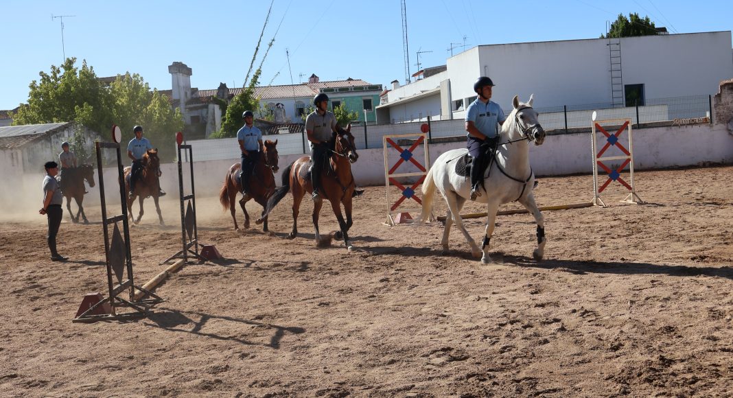 Estremoz: Regimento de Cavalaria N.º 3 apoia estágio de equitação da Academia Militar