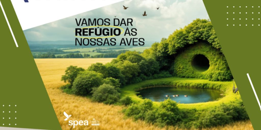 Webinar apresenta Rede Nacional de Santuários para as Aves no Alentejo