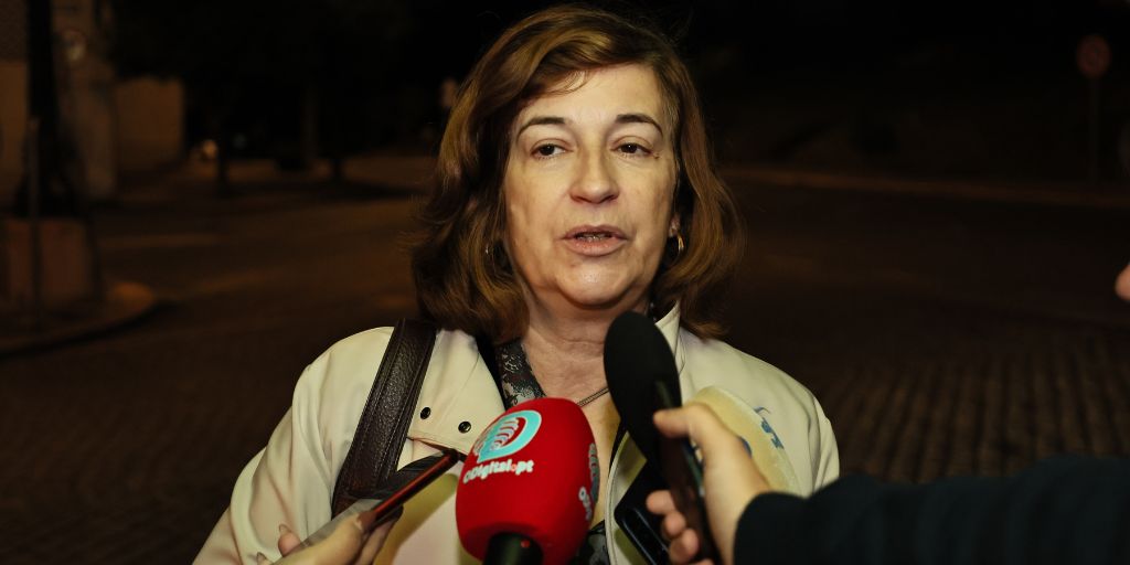 Universidade de Évora prepara parceria científica com santuário de elefantes do Alentejo