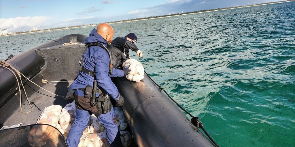 Polícia Marítima apreende mais de meia tonelada de pescado ilegal entre Troia e Comporta