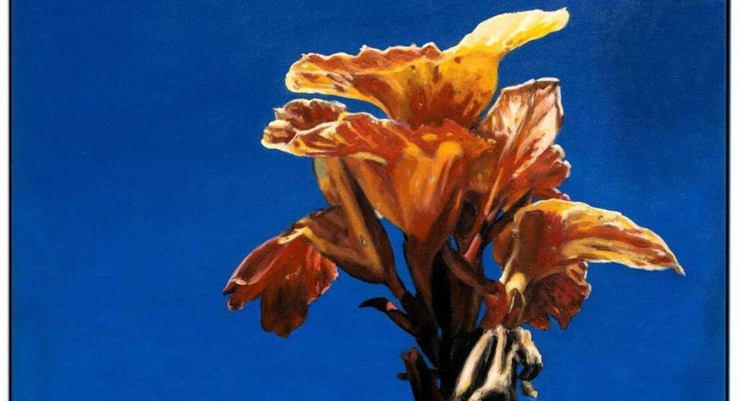 Évora recebe exposição «as paisagens mudam de lugar» com obras da coleção da Fundação PLMJ