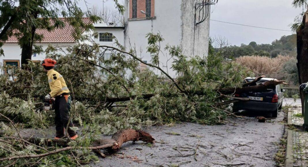 CIMAA mobiliza sapadores florestais para limpar vias e sinalizar zonas de risco após tempestade