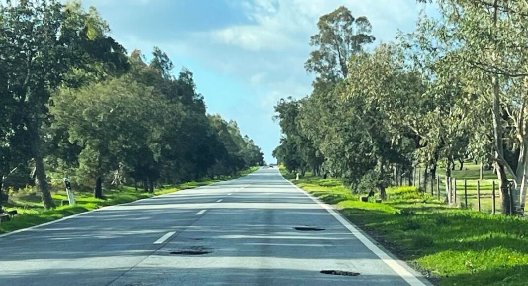 N251 entre Mora e Pavia reabre ao trânsito em Mora após nova avaliação da Proteção Civil
