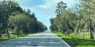 N251 entre Mora e Pavia reabre ao trânsito em Mora após nova avaliação da Proteção Civil