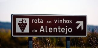 Vinhos do Alentejo