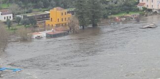 Mau tempo: Resgate de seis pessoas em Gavião e Nisa por subida do caudal do Rio Tejo
