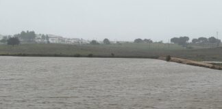 Risco de rebentamento de albufeira obriga a interditar estrada entre Aguiar (Viana do Alentejo) e Évora