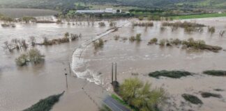 Mora Ponte da Amizade