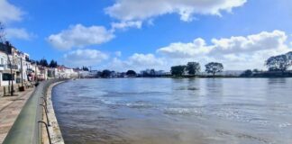 Mau tempo: Regresso da água ao rio dá "esperança de que susto passou" em Alcácer do Sal
