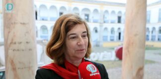 Hermínia Vilar