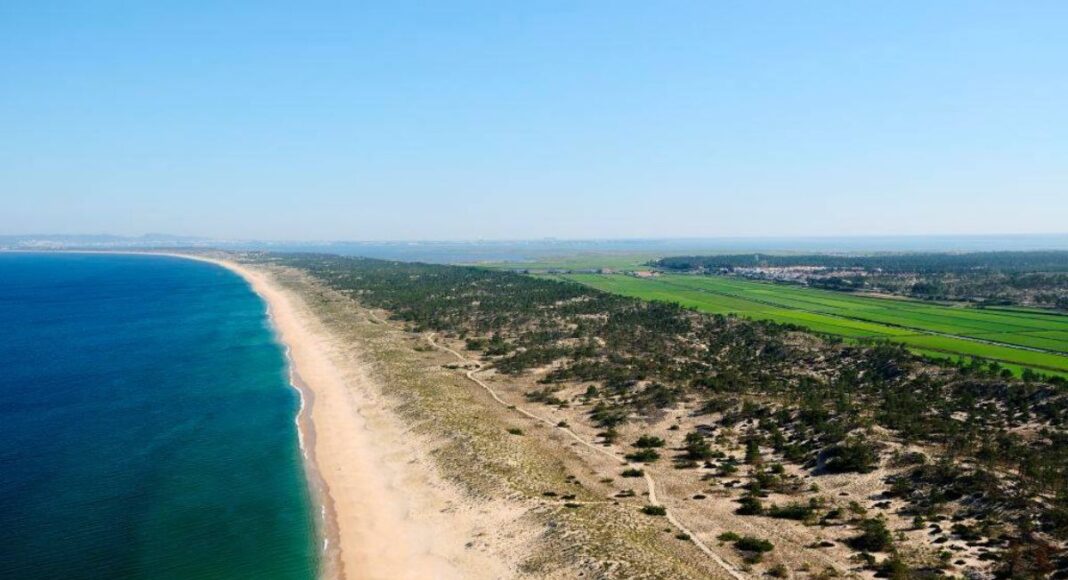 Humberto Pedrosa oferece 100 milhões de euros pela sociedade agrícola da Herdade da Comporta
