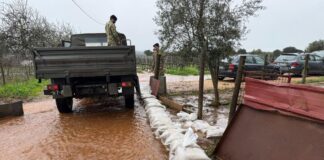 Regimento de Cavalaria Nº3 mobiliza cerca de 100 militares no apoio às populações afetadas pelas cheias