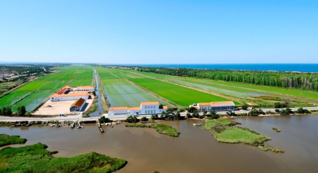 Herdade da Comporta