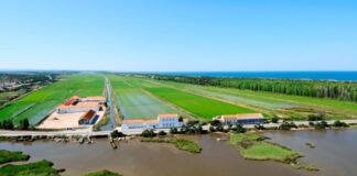 Herdade da Comporta
