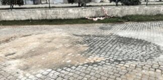 Antiga EN255, entre Borba e Vila Viçosa, já reabriu