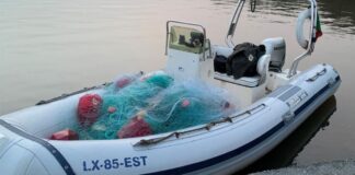 GNR apreende redes ilegais e 39 quilos de peixe na Barragem de Alqueva