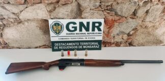 Reguengos de Monsaraz: GNR detém homem de 67 anos por caça com recurso a meios ilegais